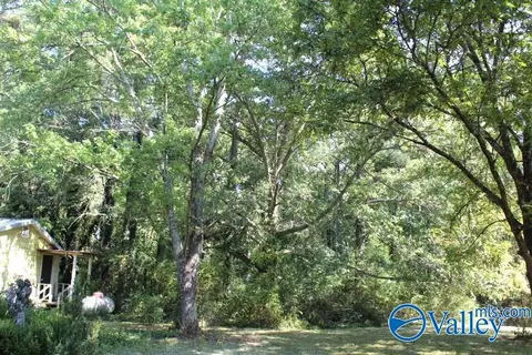 5272 Ruth Rd, Arab, AL 35016 photo 29