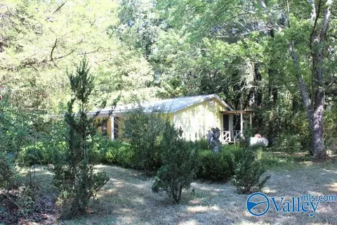5272 Ruth Rd, Arab, AL 35016 photo 28