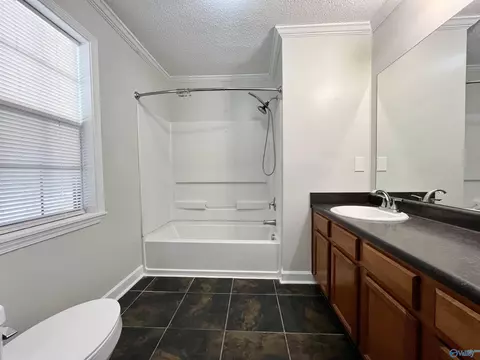 41 Bluffview Dr, Arab, AL 35016 photo 10