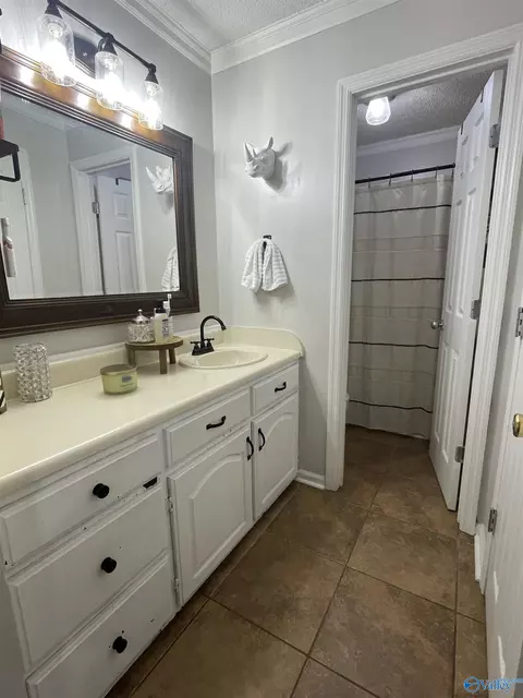 235 Ghost Hill Rd, Trinity, AL 35673 photo 14