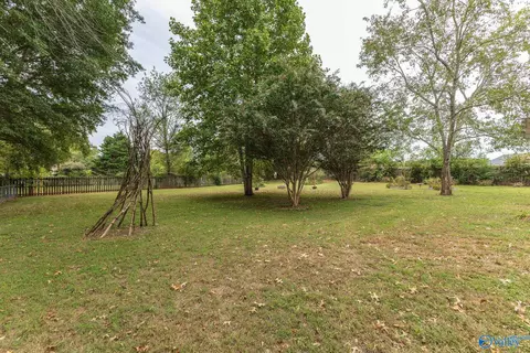 144 Raspberry Way, Madison, AL 35757 photo 22