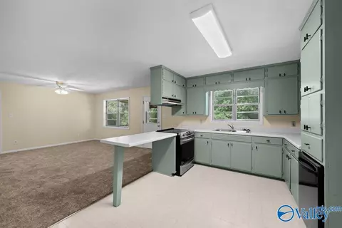 216 Buffington Rd, Steele, AL 35987 photo 9