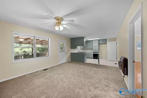 216 Buffington Rd, Steele, AL 35987 photo 14