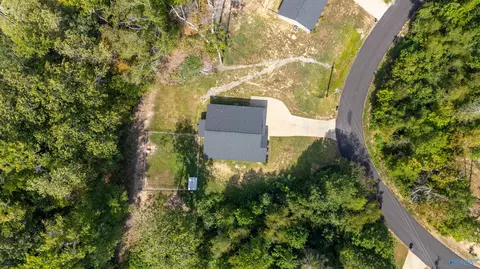 2284 Madison Loop, Southside, AL 35907 photo 2