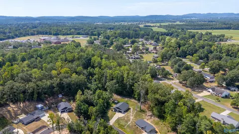 2284 Madison Loop, Southside, AL 35907 photo 3