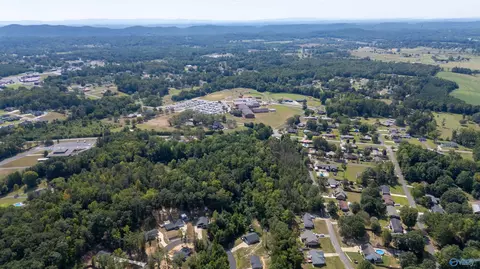 2284 Madison Loop, Southside, AL 35907 photo 4