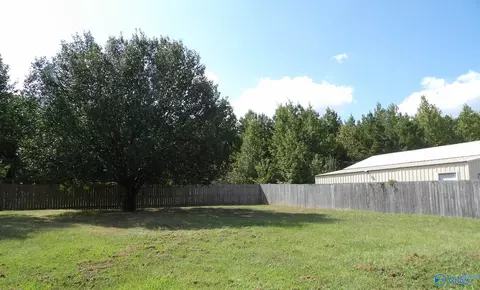6191 County Road 434, Trinity, AL 35673 photo 24