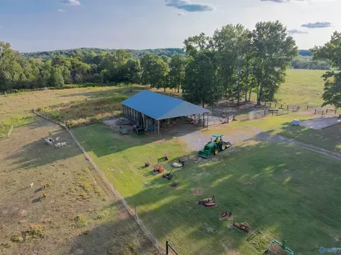 8351 County Road 38, Section, AL 35771 photo 48