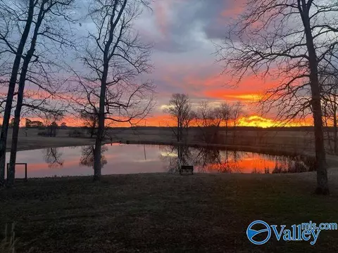 8351 County Road 38, Section, AL 35771 photo 3