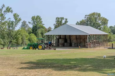 8351 County Road 38, Section, AL 35771 photo 8