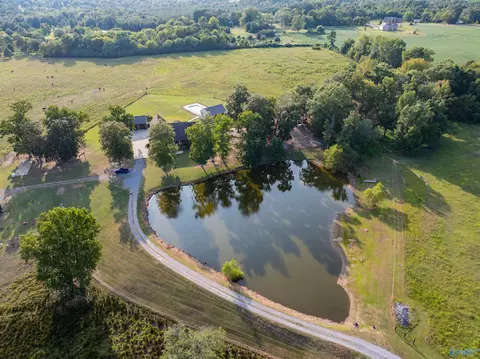 8351 County Road 38, Section, AL 35771 photo 4