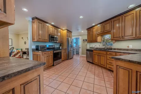 8351 County Road 38, Section, AL 35771 photo 26