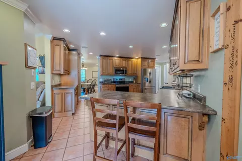 8351 County Road 38, Section, AL 35771 photo 27