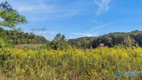 3939 County Road 284, Courtland, AL 35618
