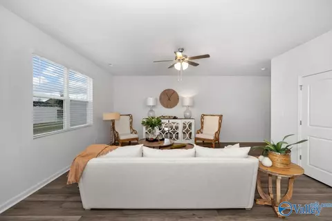 227 Maple Spring Trl, Madison, AL 35758 photo 9