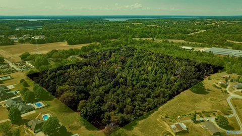 30 Acres Rose St, Rogersville, AL 35652