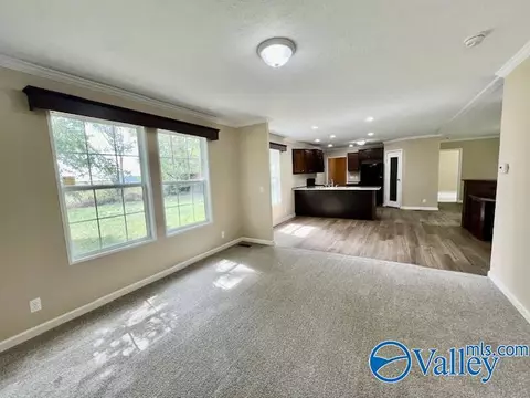 999 Mcgee St, Section, AL 35771 photo 15