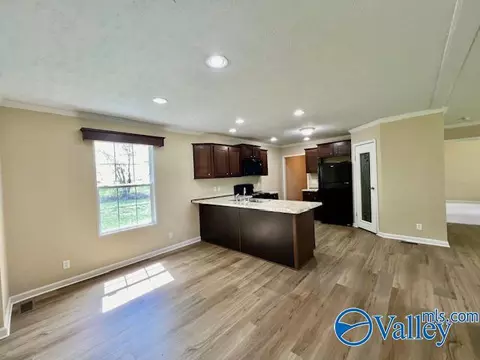 999 Mcgee St, Section, AL 35771 photo 12