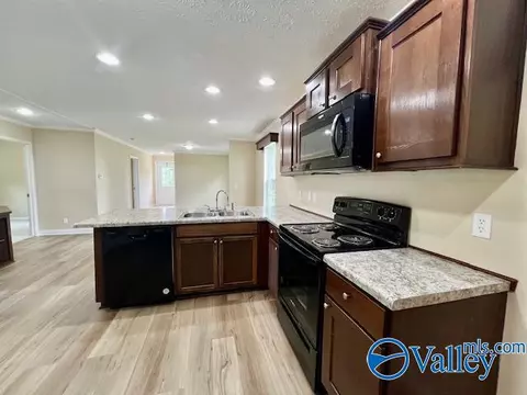 999 Mcgee St, Section, AL 35771 photo 1
