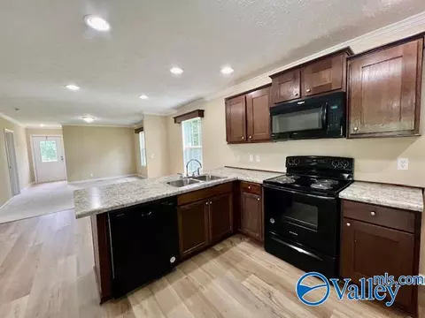 999 Mcgee St, Section, AL 35771 photo 9