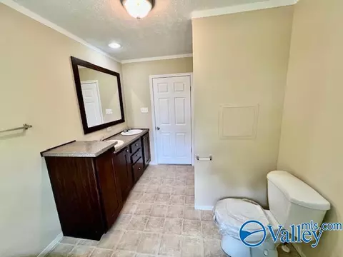 999 Mcgee St, Section, AL 35771 photo 20