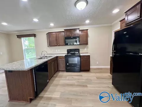 999 Mcgee St, Section, AL 35771 photo 8