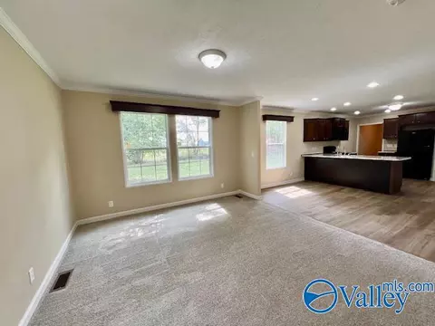 999 Mcgee St, Section, AL 35771 photo 13