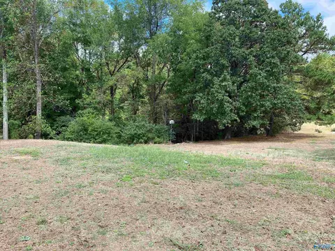 1 Acre Highway 67, Somerville, AL 35670
