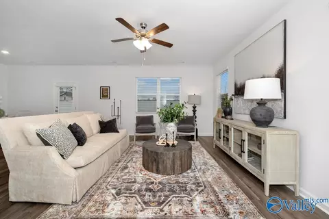 220 Maple Spring Trl, Madison, AL 35758 photo 6