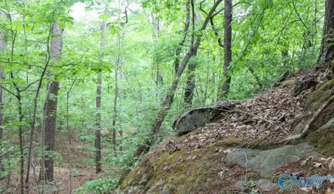 lot11 Bear Creek Trl, Fort Payne, AL 35957