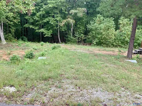 115 Cloud Base Rd, Gurley, AL 35748 photo 1