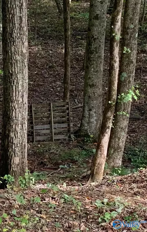 115 Cloud Base Rd, Gurley, AL 35748 photo 11