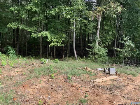 115 Cloud Base Rd, Gurley, AL 35748 photo 6