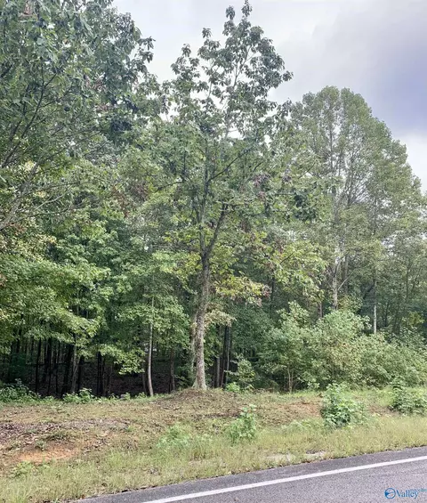 115 Cloud Base Rd, Gurley, AL 35748 photo 10