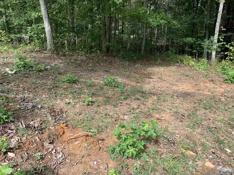 115 Cloud Base Rd, Gurley, AL 35748 photo 4