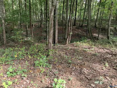 115 Cloud Base Rd, Gurley, AL 35748 photo 8