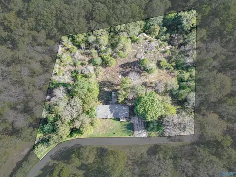 1540 Starnes Loop Rd, Grant, AL 35747 photo 29