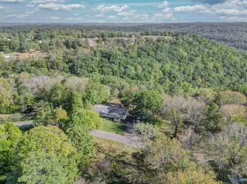 1540 Starnes Loop Rd, Grant, AL 35747 photo 27
