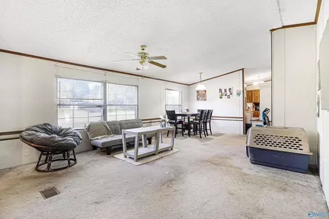 1540 Starnes Loop Rd, Grant, AL 35747 photo 3