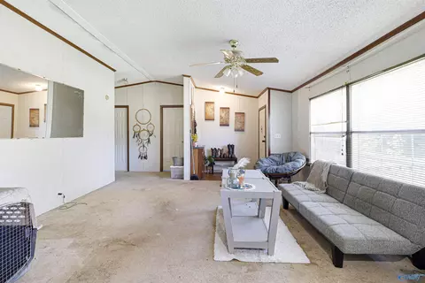 1540 Starnes Loop Rd, Grant, AL 35747 photo 4