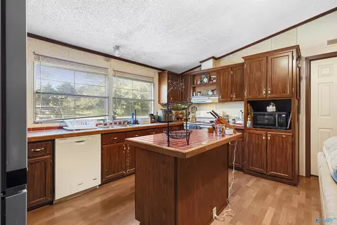 1540 Starnes Loop Rd, Grant, AL 35747 photo 6