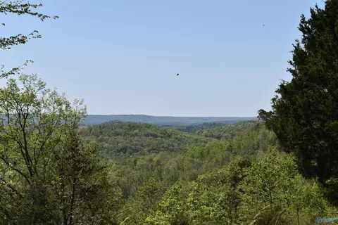 1540 Starnes Loop Rd, Grant, AL 35747 photo 26