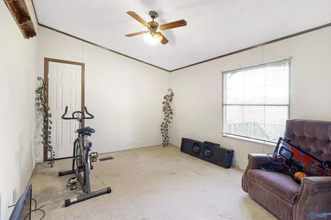 1540 Starnes Loop Rd, Grant, AL 35747 photo 19