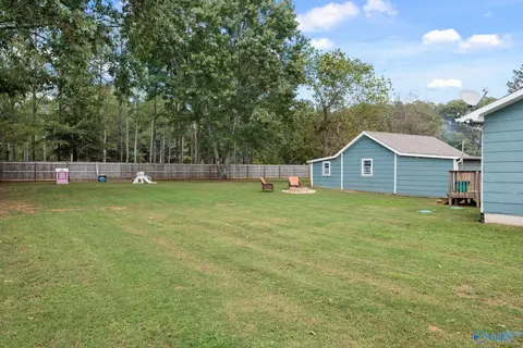 12023 Spring Rd, Tanner, AL 35671 photo 29
