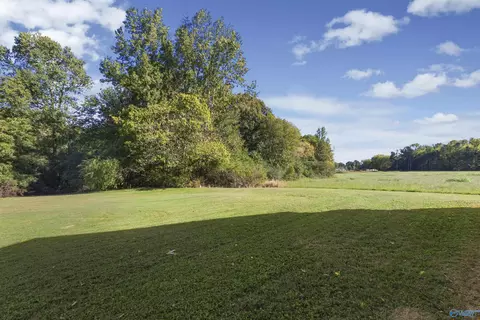 600 Hilltop Rd, Joppa, AL 35087 photo 6