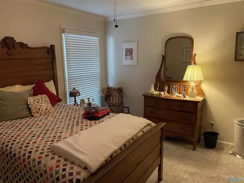 3011 Upper River Rd, Somerville, AL 35670 photo 10