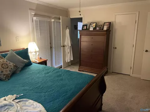 3011 Upper River Rd, Somerville, AL 35670 photo 8