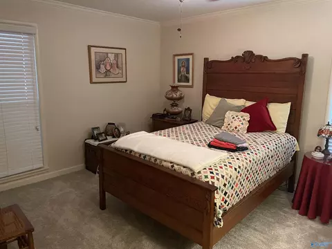 3011 Upper River Rd, Somerville, AL 35670 photo 9