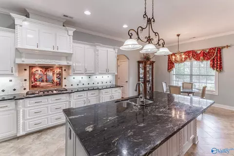 25535 Gray Stone Dr, Madison, AL 35756 photo 15