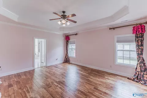 25535 Gray Stone Dr, Madison, AL 35756 photo 19